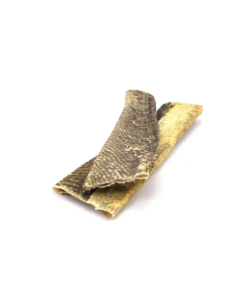 Natural Fish Skin Flatties - Hypoallergic - Fisher's