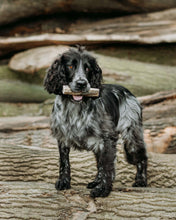 Load image into Gallery viewer, Fish Skin Throw Sticks