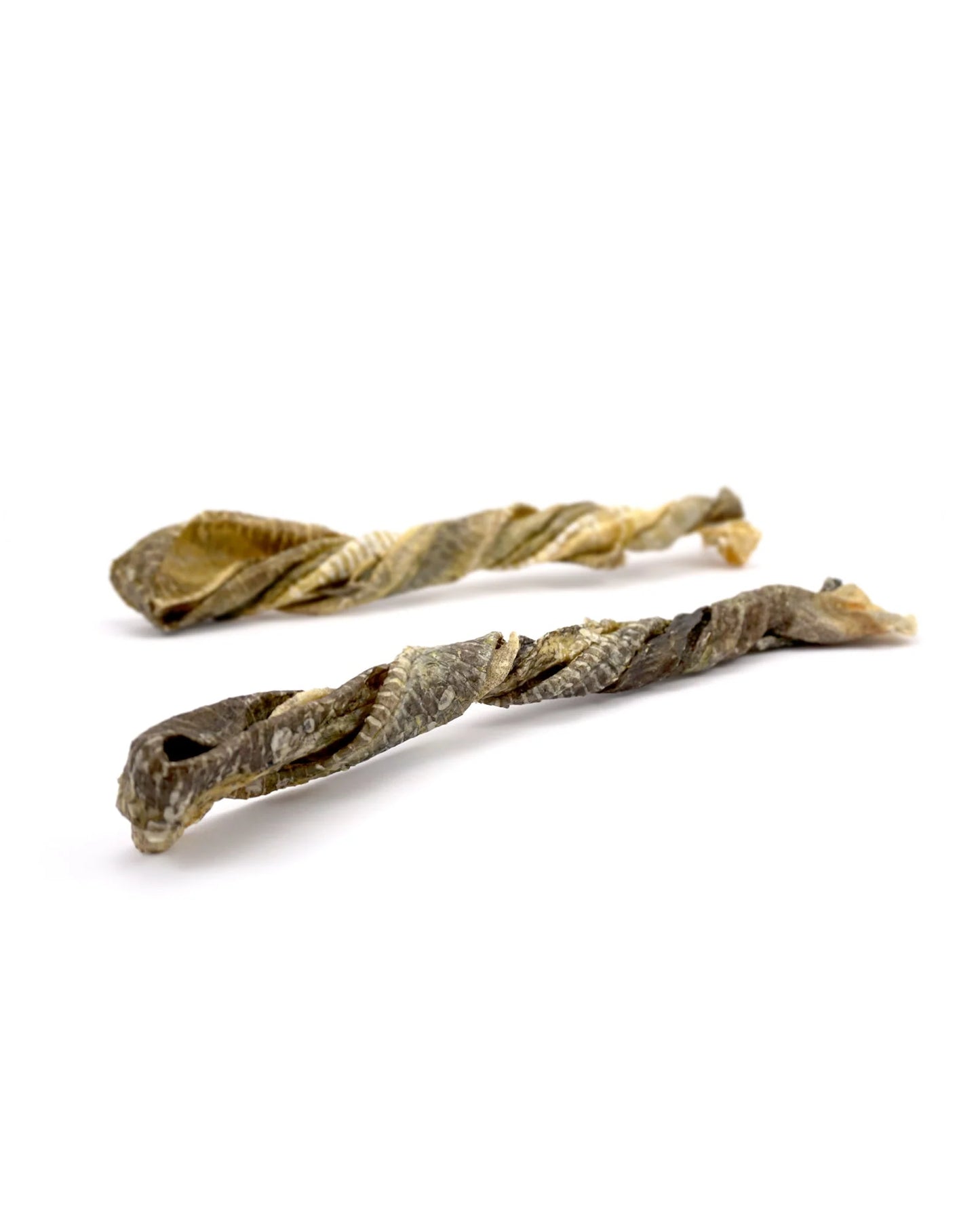 Natural Fish Skin Twists - Hypoallergic - Fisher's