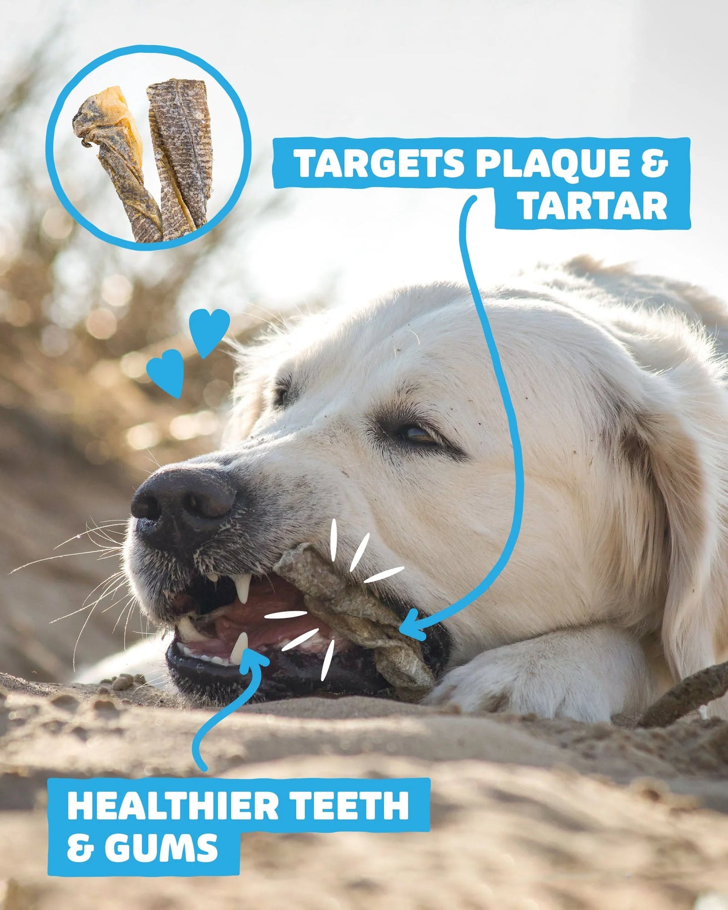 Natural Fish Skin Twists - Hypoallergic - Fisher's
