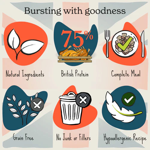 Forthglade British classics - Lamb Shepherd's Pie