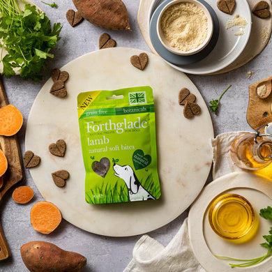Forthglade natural soft bite treats with lamb
