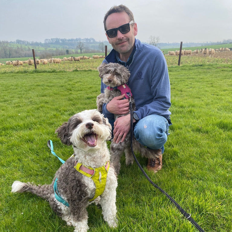 Man with sunglasses holding a small dog, standing next to a larger dog on a grassy field.