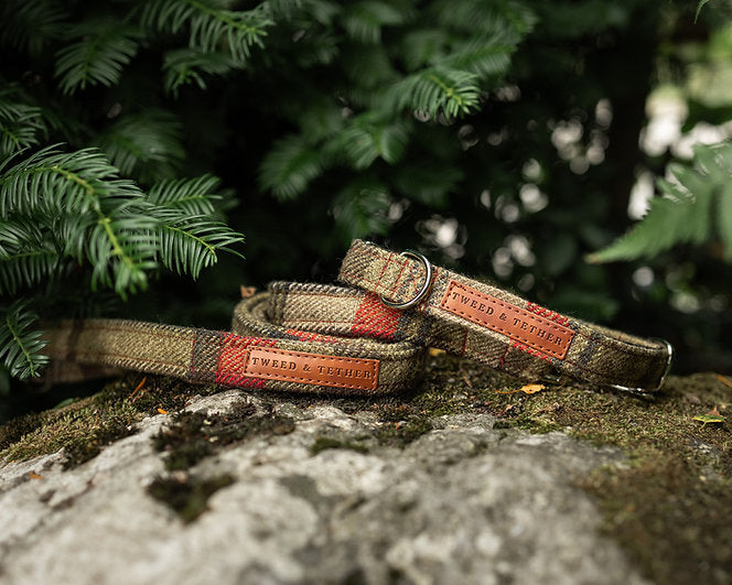 Green Check Dog Collars & Leads