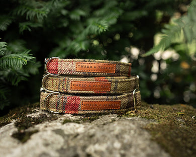 Green Check Dog Collars & Leads