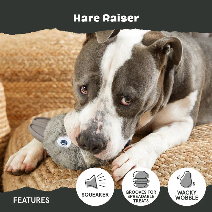 Bark Hare Dog toy being played with by staffy dog