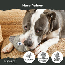 Load image into Gallery viewer, Bark Hare Dog toy being played with by staffy dog