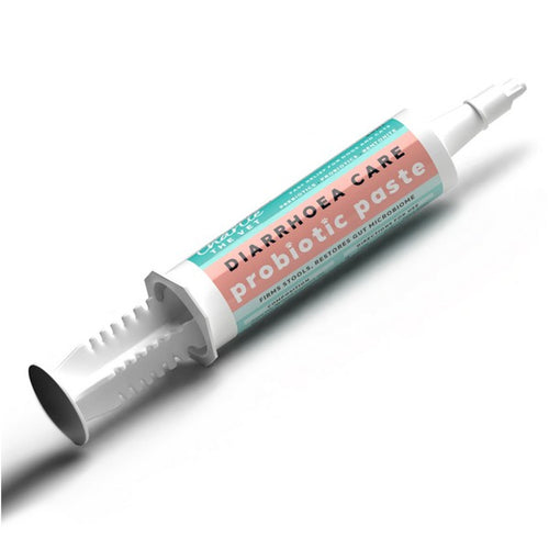 Charlie The Vet Antiseptic Diarrhoea Care Probiotic Paste For Dogs & Cats 30ml