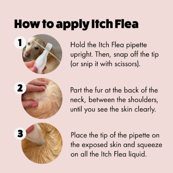 Itch. Flea Spot-On Treatment for Small Dogs – 3 Pipettes