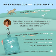 Load image into Gallery viewer, Charlie The Vet Mini Pet First Aid Kit