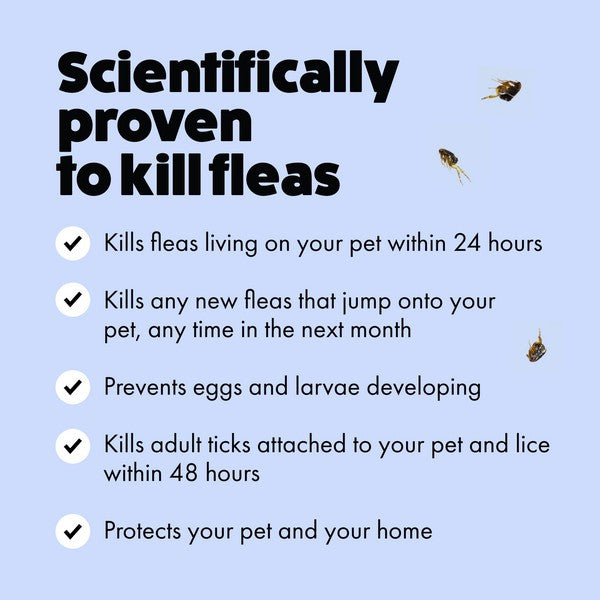 Itch. Flea Spot-On Treatment for Medium Dogs – 3 Pipettes