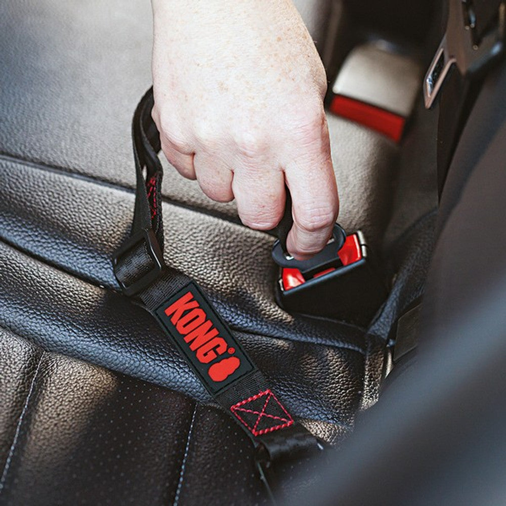 kong seat belt tether dog