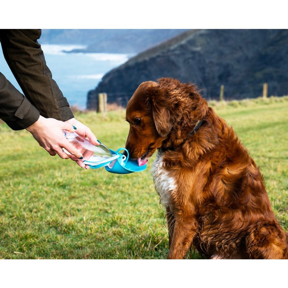 Henry Wag Travel Water Bottle