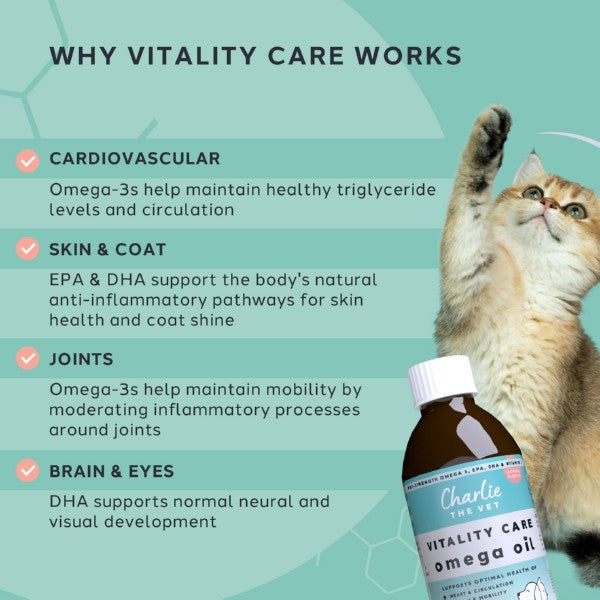 Charlie The Vet Vitality Care