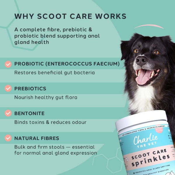 Charlie The Vet Scoot Care