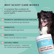 Load image into Gallery viewer, Charlie The Vet Scoot Care