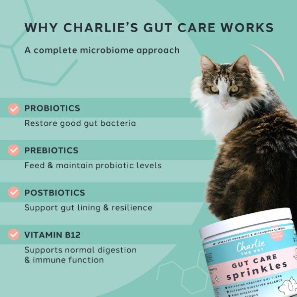 Charlie The Vet Gut Care