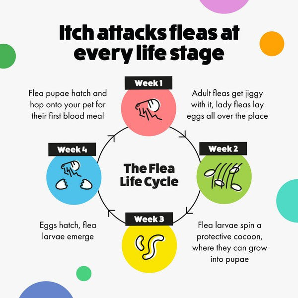 Itch. Flea Spot-On Treatment for Medium Dogs – 3 Pipettes