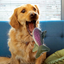 Load image into Gallery viewer, KONG Wild Shieldz Trout