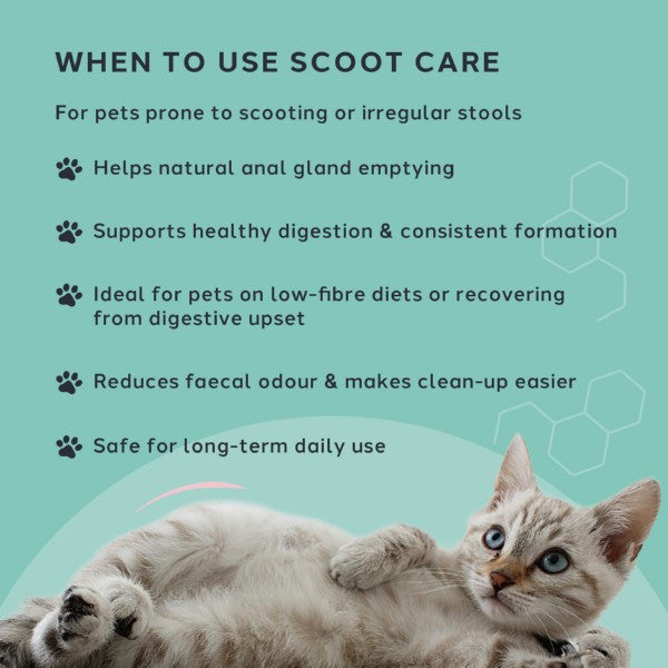 Charlie The Vet Scoot Care