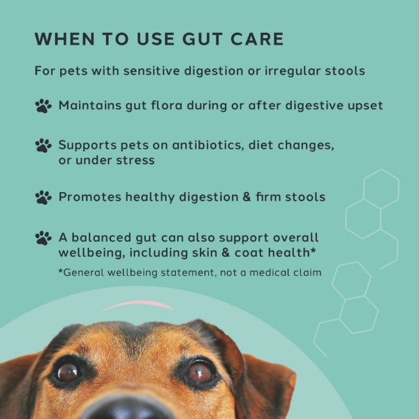 Charlie The Vet Gut Care