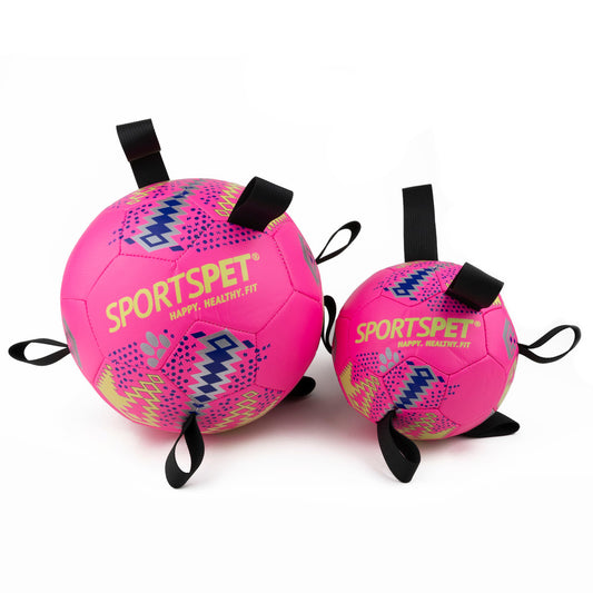 sportspet football with tabs on the side for dogs to hold - pink