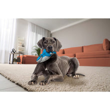 Load image into Gallery viewer, KONG Maxx Shark