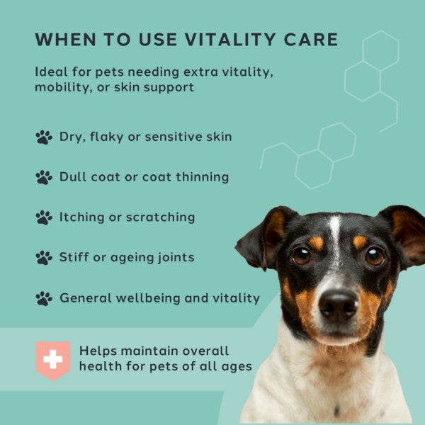 Charlie The Vet Vitality Care