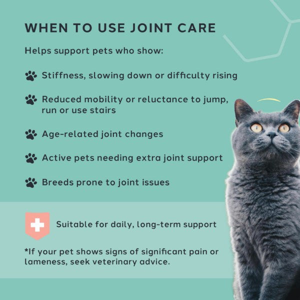 Charlie The Vet Joint Care