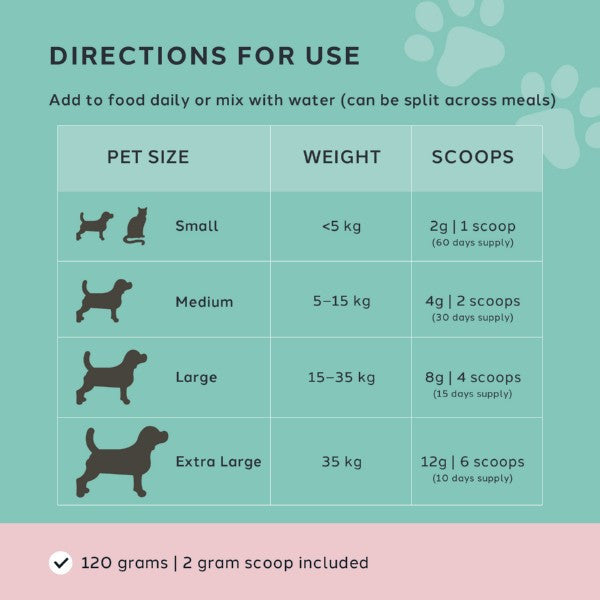 Charlie The Vet Gut Care