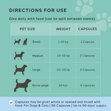 Load image into Gallery viewer, Charlie The Vet Calm Care