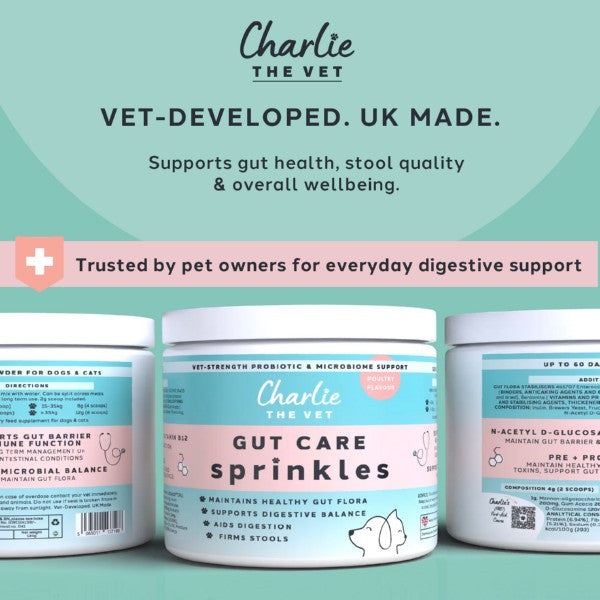 Charlie The Vet Gut Care