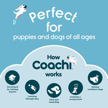 Load image into Gallery viewer, Coachi Pro Train &amp; Treat Bag