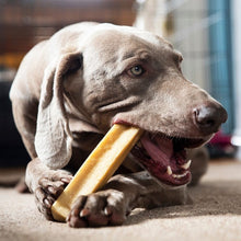 Load image into Gallery viewer, Dog chewing on a yaker indoors.