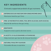 Load image into Gallery viewer, Charlie The Vet Gut Care