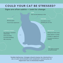 Load image into Gallery viewer, Charlie The Vet Calm Care