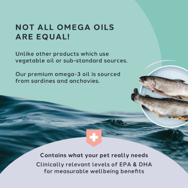 Charlie The Vet Vitality Care