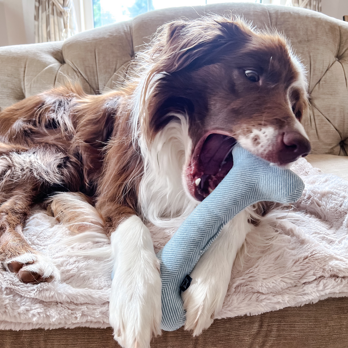 Wool Bone and Felt Rope Toys