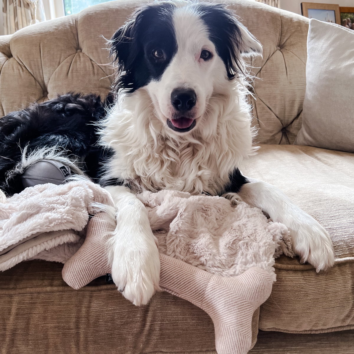 Wool Bone