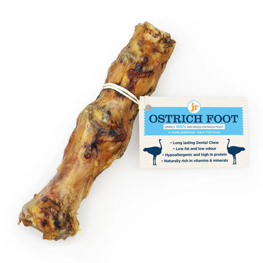 Super Long Lasting - Ostrich Foot - JR Pet