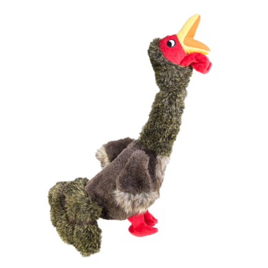 KONG Shakers Turkey