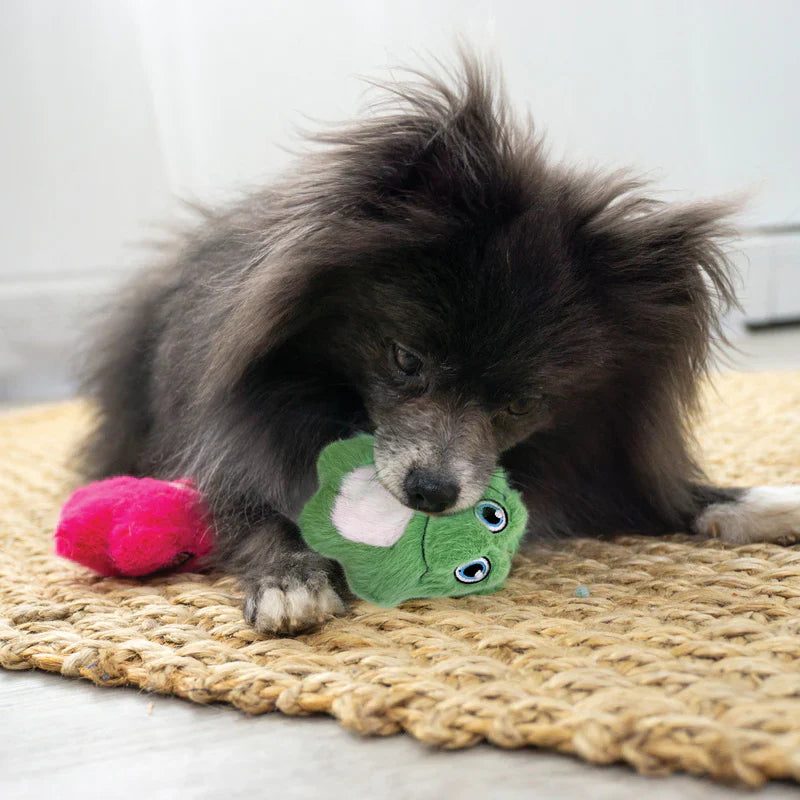 KONG Snuzzles Mini Frog