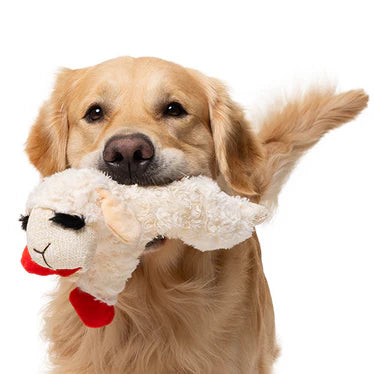Dog holding a plush toy with a white face and red bow tie.