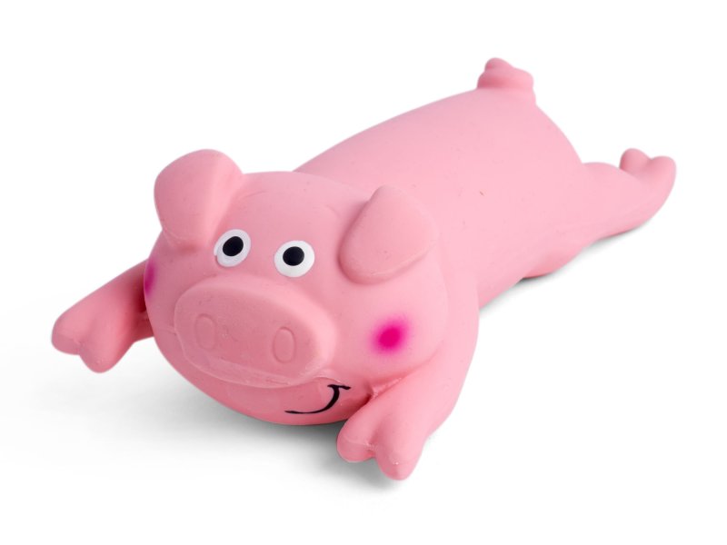 Squeaky Piggy