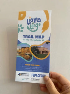 Lions at Large Merch