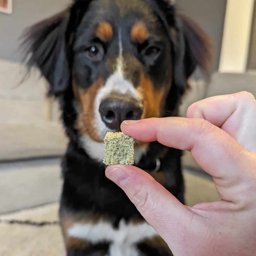 Natural Little Gems Fish Treats - Hypoallergic - Fisher's