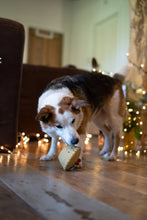 Load image into Gallery viewer, Squeaky Christmas Mince Pie