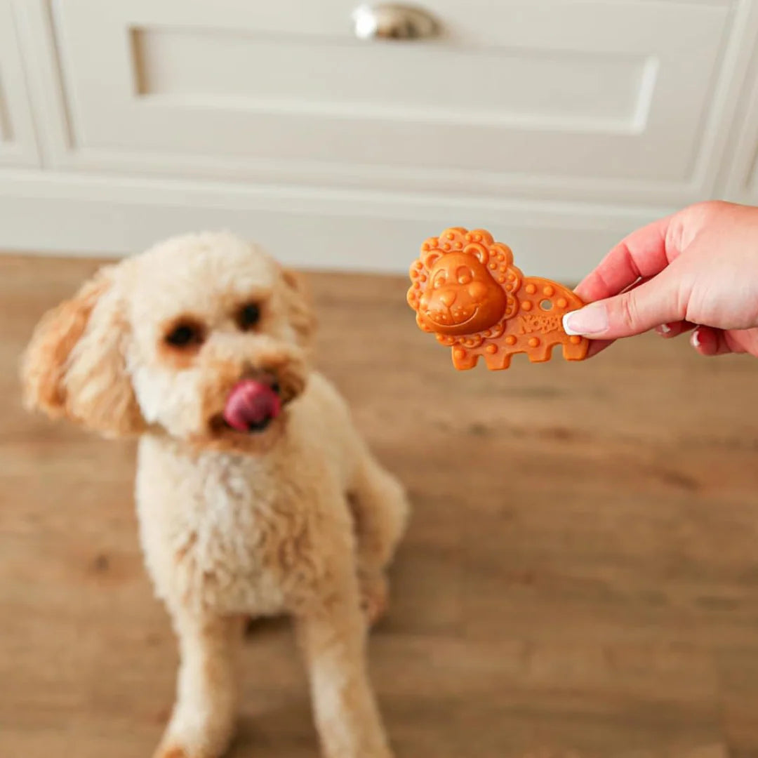 Nobblys Dental Chew