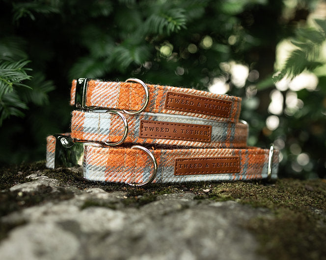 Orange Check Dog Collars & Leads
