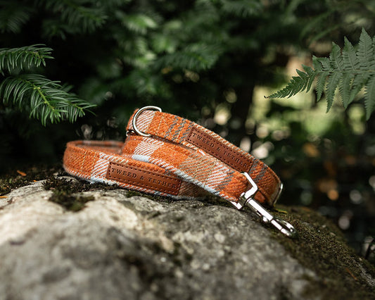 Orange Check Dog Collars & Leads